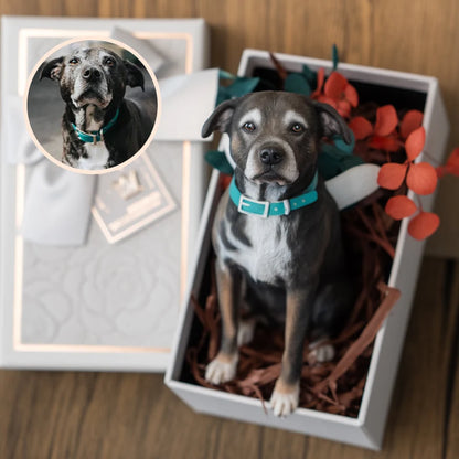 Eternize Seu Amor™ - Miniatura 3D Personalizada do Seu Pet 20 cm (2 Unidades)