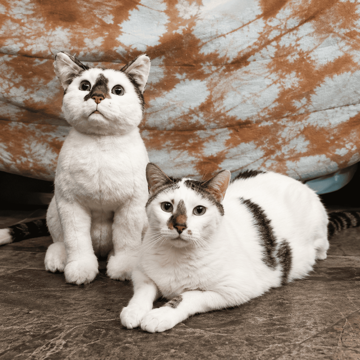Eternize Seu Amor™ — Pet de Pelúcia Realista Personalizado